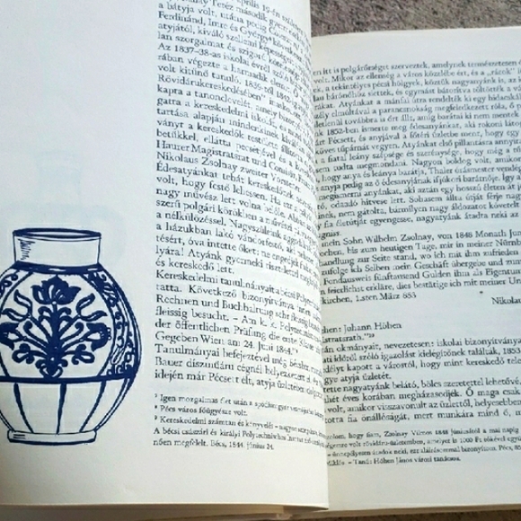 Original "Zsolnay" hardcover- History of family n' company, written in Hungarian - Picture 4 of 7